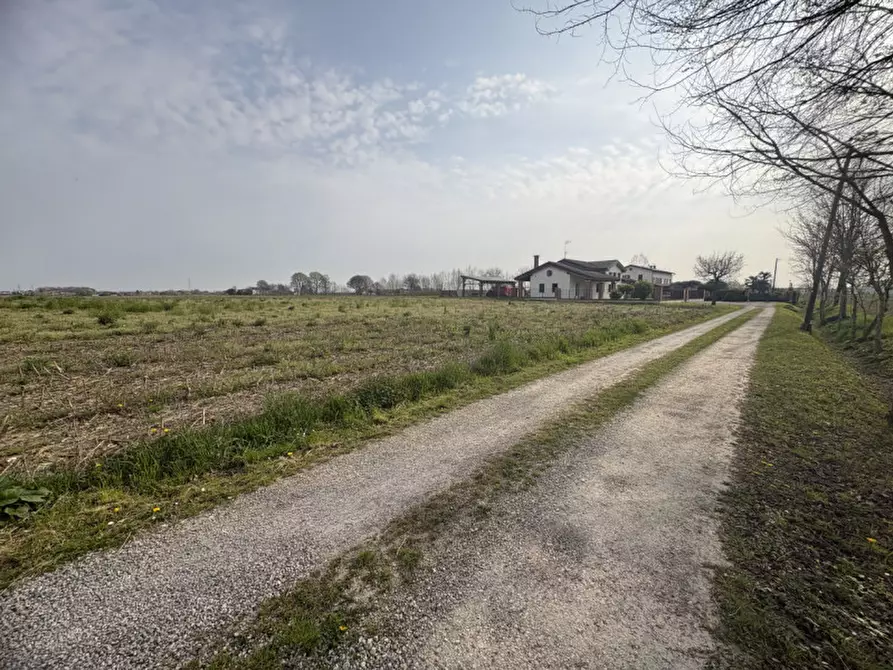 Immagine 6 di Terreno in vendita  in Via Pelosa a Saccolongo