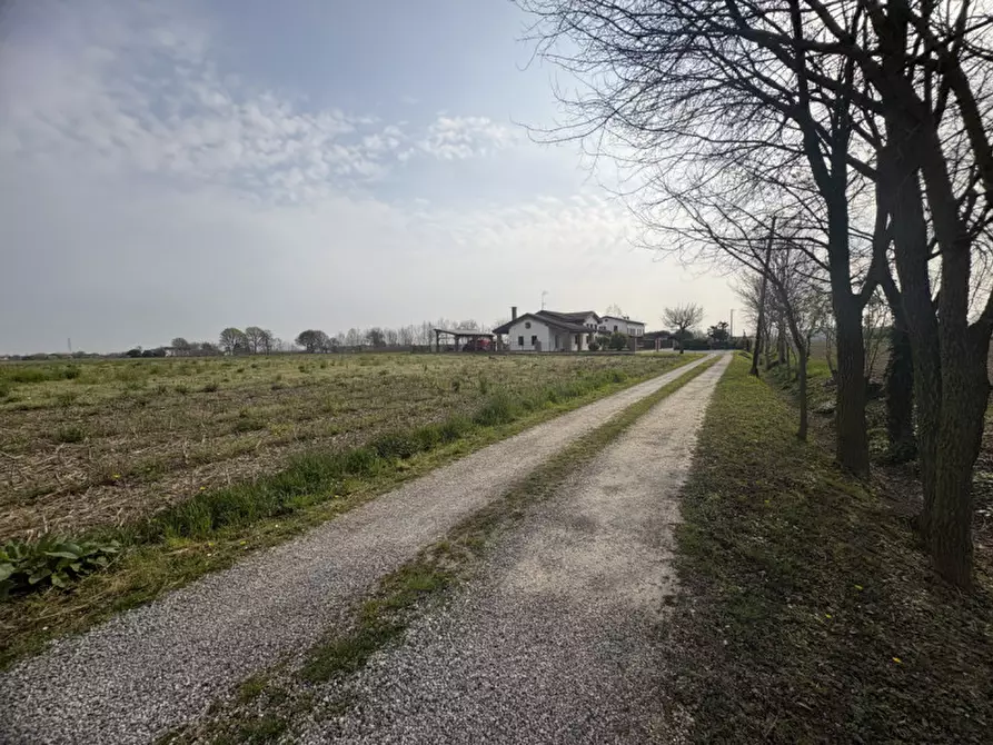 Immagine 7 di Terreno in vendita  in Via Pelosa a Saccolongo