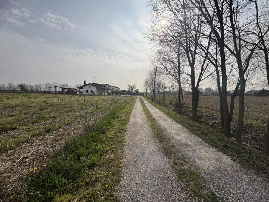 Immagine 8 di Terreno in vendita  in Via Pelosa a Saccolongo