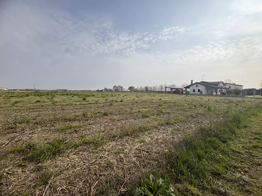 Immagine 9 di Terreno in vendita  in Via Pelosa a Saccolongo