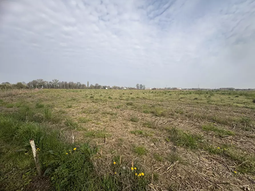 Immagine 10 di Terreno in vendita  in Via Pelosa a Saccolongo