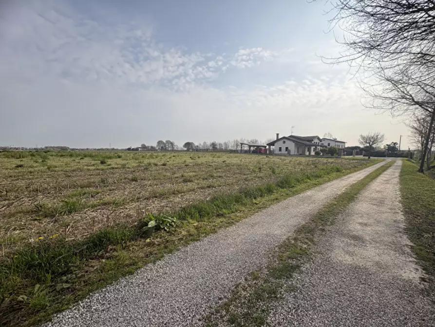 Immagine 11 di Terreno in vendita  in Via Pelosa a Saccolongo