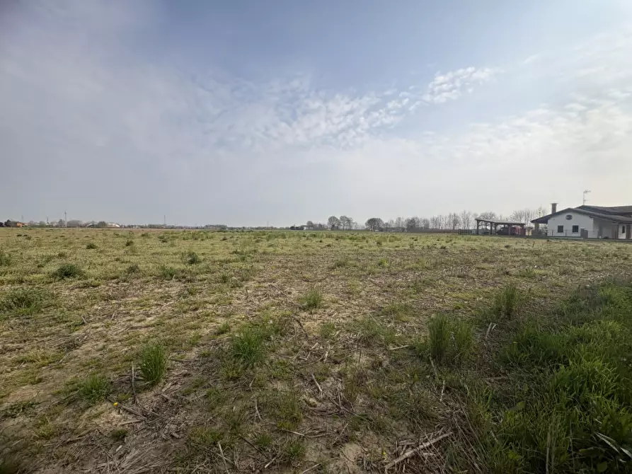 Immagine 12 di Terreno in vendita  in Via Pelosa a Saccolongo