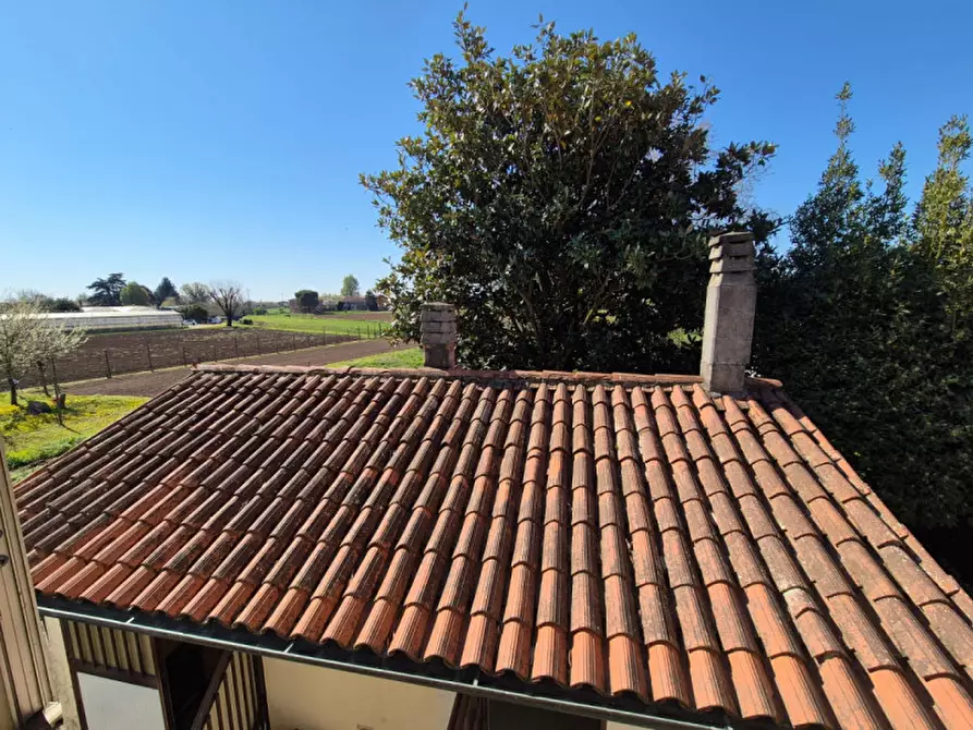 Immagine 21 di Casa indipendente in vendita  in Via Olmo a Cologna Veneta