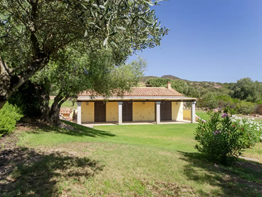 Immagine 62 di Villa in vendita  a Golfo Aranci
