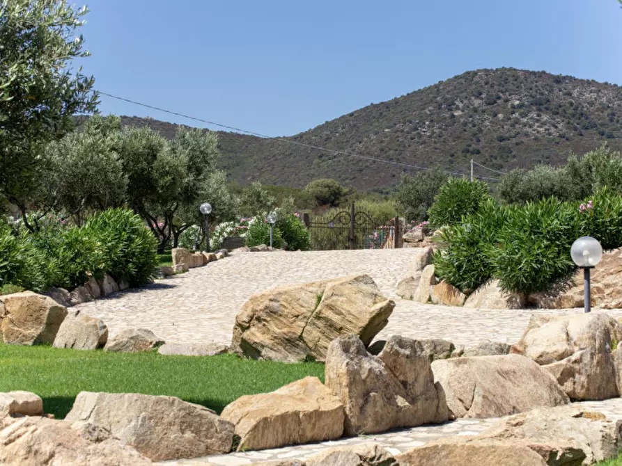 Immagine 77 di Villa in vendita  a Golfo Aranci
