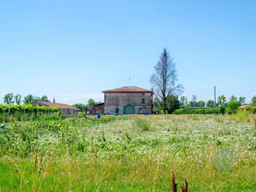 Immagine 2 di Rustico / casale in vendita  a Soliera