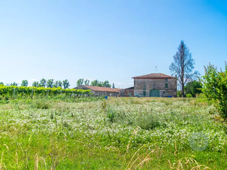 Immagine 3 di Rustico / casale in vendita  a Soliera