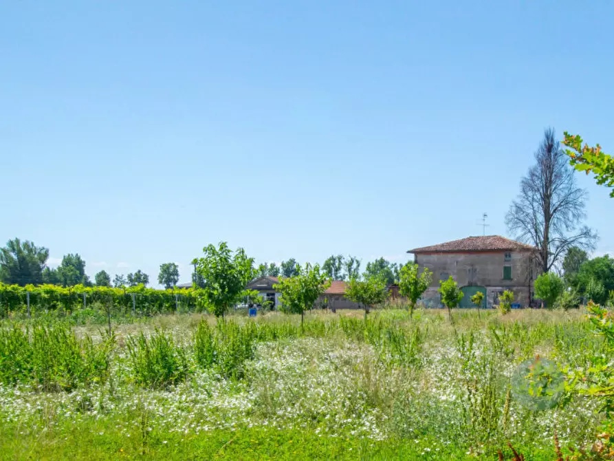 Immagine 4 di Rustico / casale in vendita  a Soliera