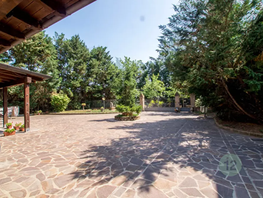 Immagine 3 di Rustico / casale in vendita  a Soliera