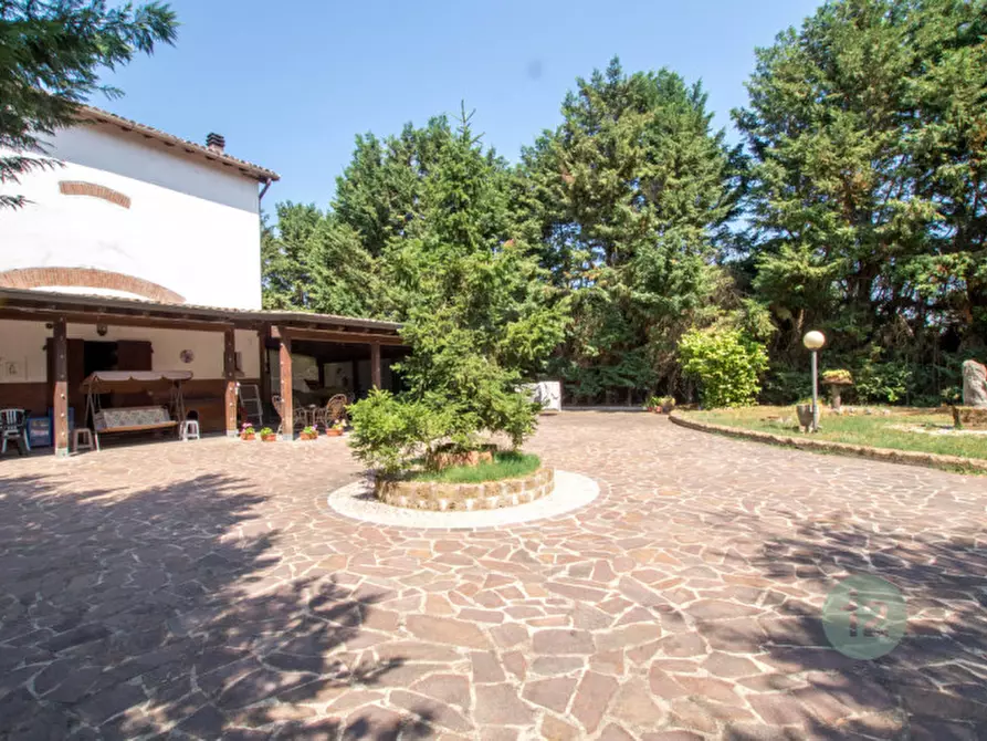 Immagine 9 di Rustico / casale in vendita  a Soliera