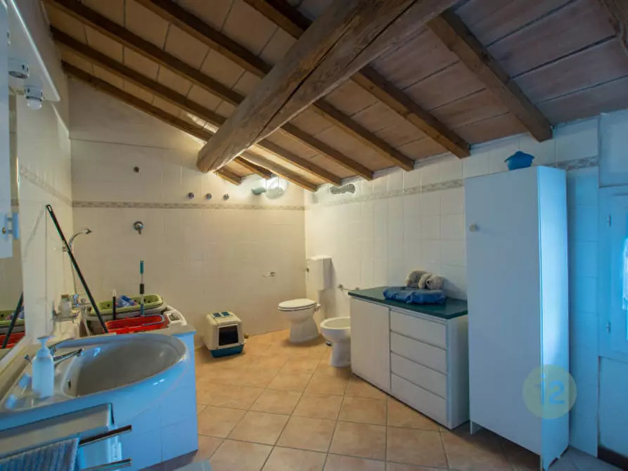 Immagine 33 di Rustico / casale in vendita  a Soliera