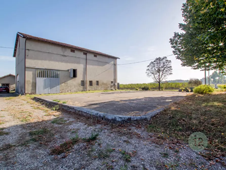 Immagine 2 di Rustico / casale in vendita  a Soliera