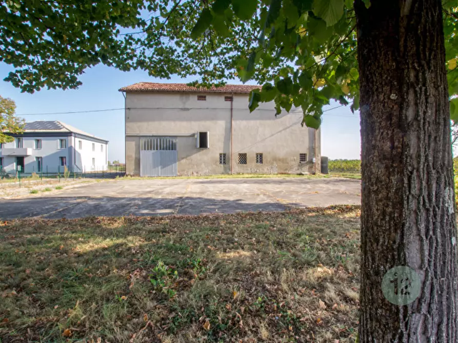 Immagine 3 di Rustico / casale in vendita  a Soliera