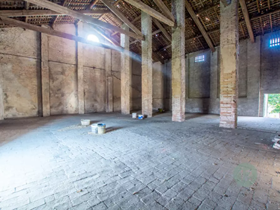 Immagine 11 di Rustico / casale in vendita  a Soliera