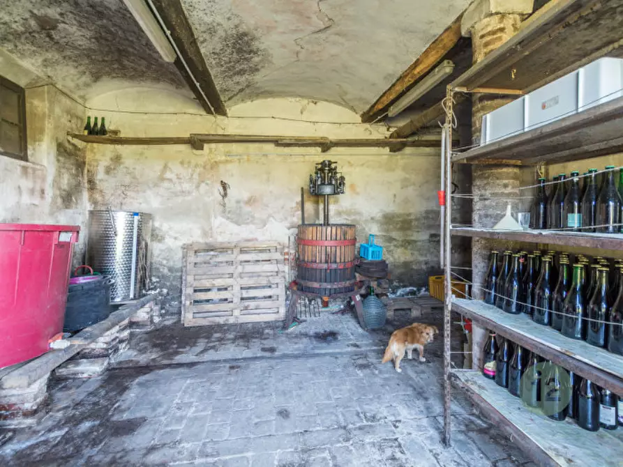 Immagine 16 di Rustico / casale in vendita  a Soliera
