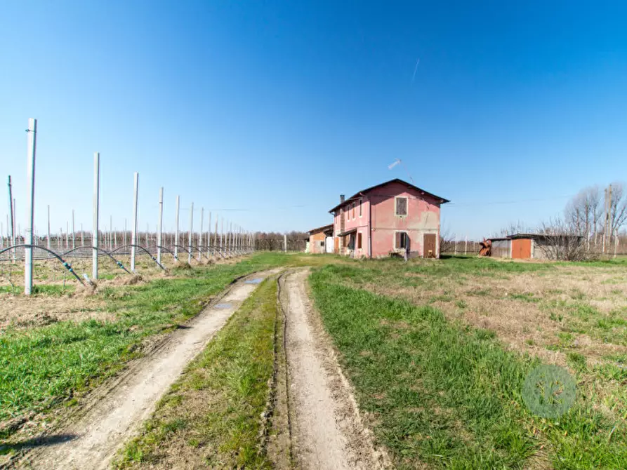 Immagine 3 di Rustico / casale in vendita  a Soliera