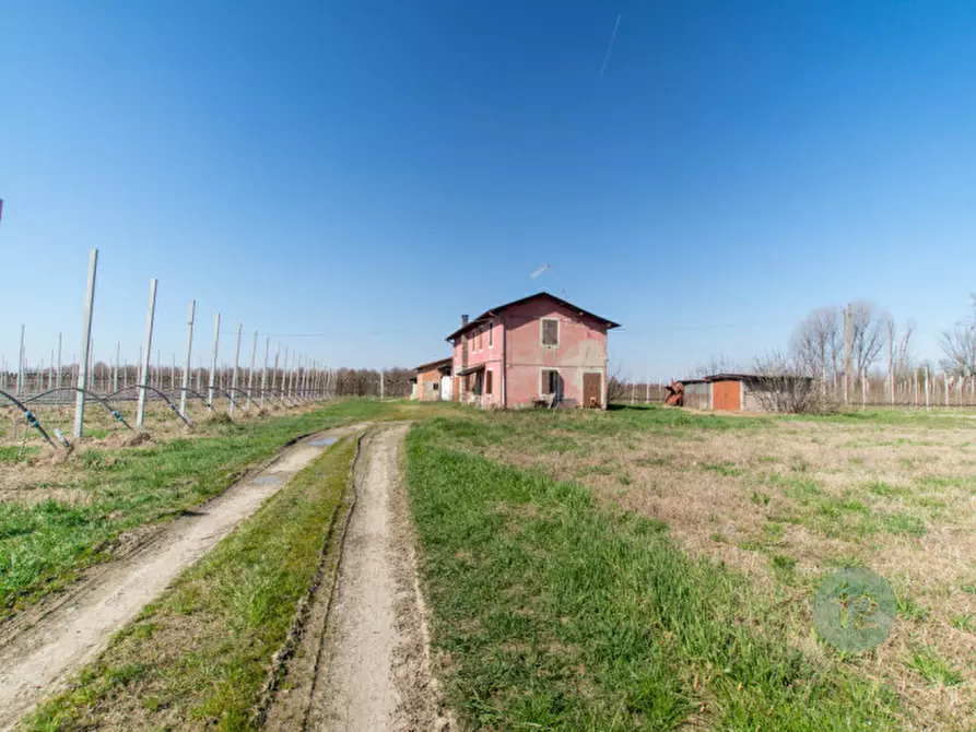 Immagine 4 di Rustico / casale in vendita  a Soliera