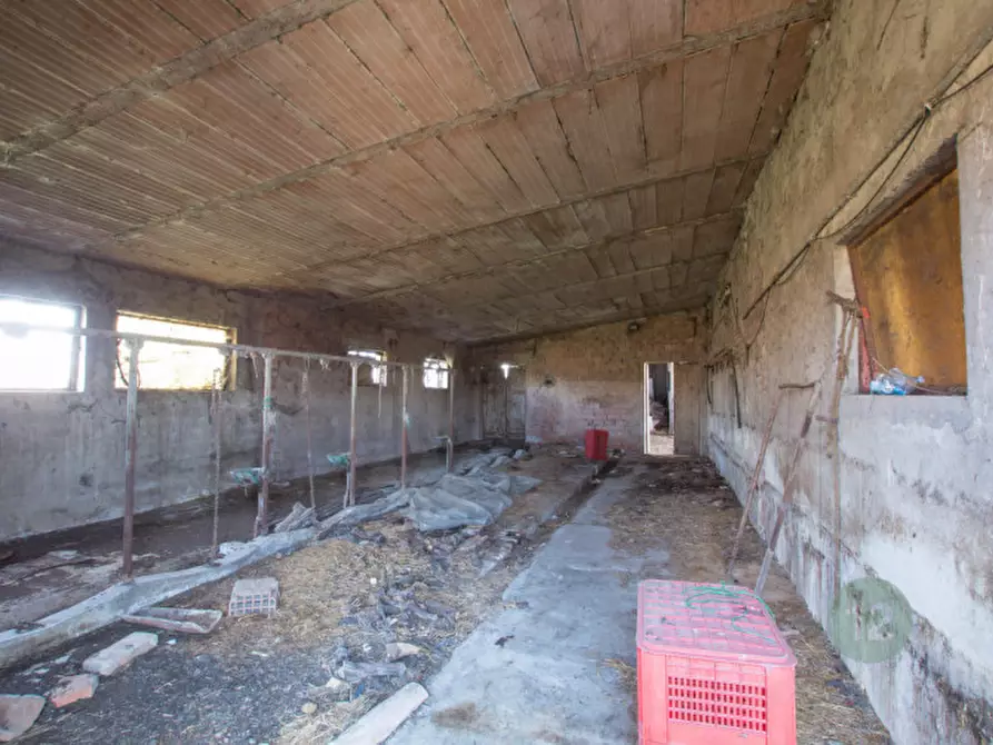 Immagine 10 di Rustico / casale in vendita  a Soliera