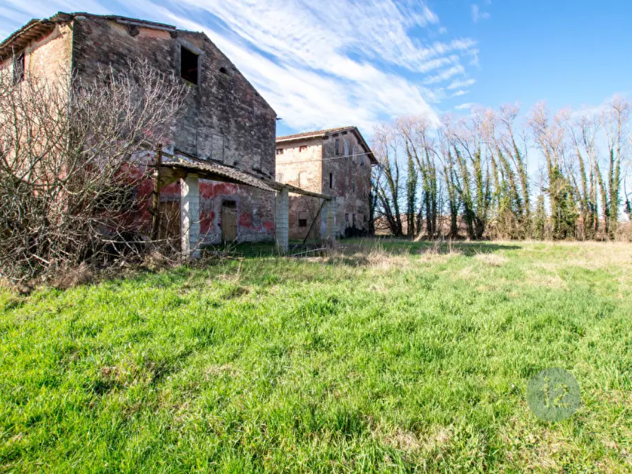 Immagine 7 di Rustico / casale in vendita  a Bomporto