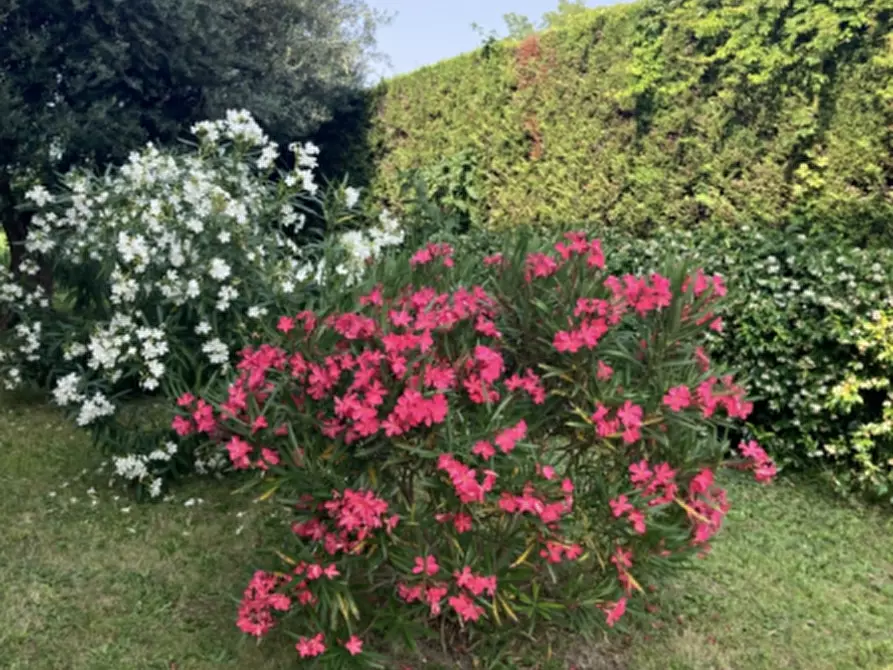 Immagine 13 di Appartamento in vendita  in via san marco 292 a Padova