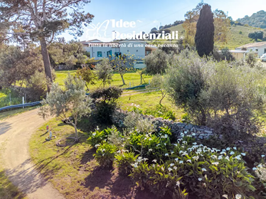 Immagine 7 di Villa in vendita  a Olbia
