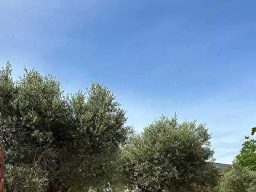 Immagine 16 di Casa indipendente in vendita  in Contrada Lo Manzo - 73019 Trepuzzi (LE) a Trepuzzi