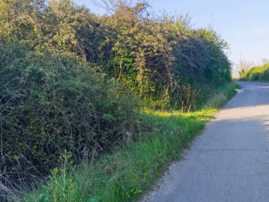 Immagine 1 di Terreno in vendita  in Strada dell'Osteria di Moricone 20 a Palombara Sabina
