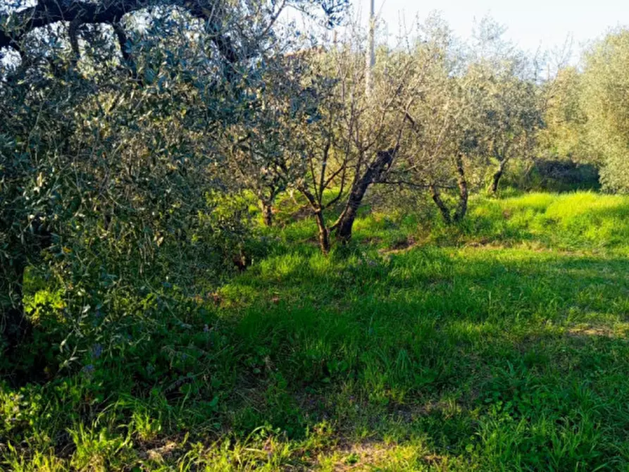 Immagine 3 di Terreno in vendita  in Strada dell'Osteria di Moricone 20 a Palombara Sabina
