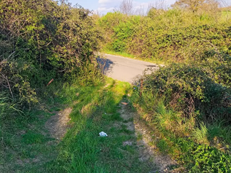 Immagine 3 di Terreno in vendita  in Strada dell'Osteria di Moricone 20 a Palombara Sabina