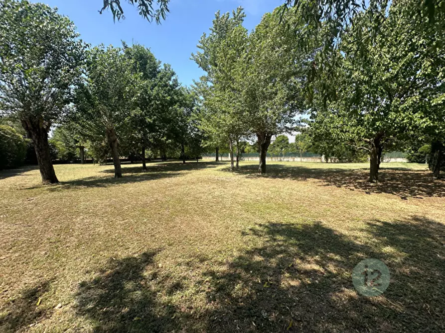 Immagine 16 di Villa in vendita  in Via Verzola a San Possidonio