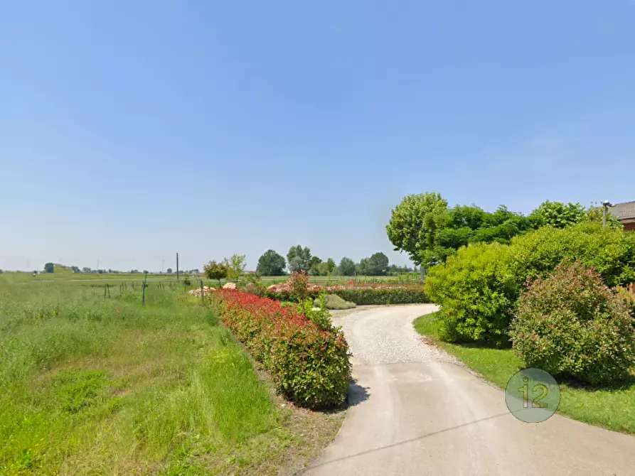 Immagine 1 di Terreno in vendita  a Camposanto