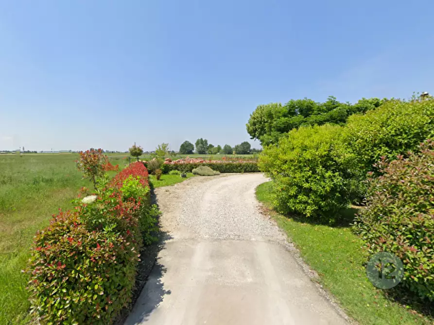 Immagine 2 di Terreno in vendita  a Camposanto