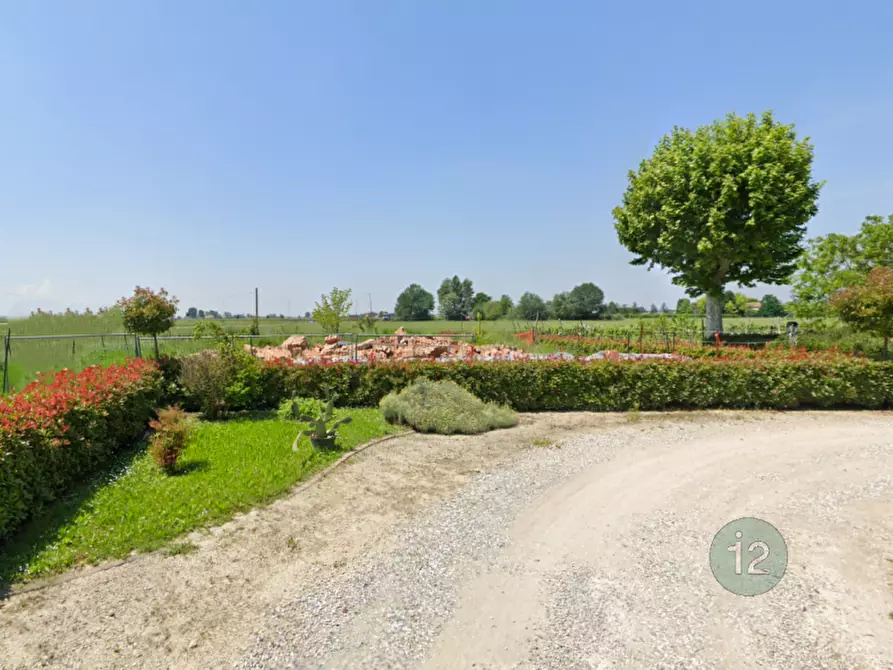 Immagine 3 di Terreno in vendita  a Camposanto