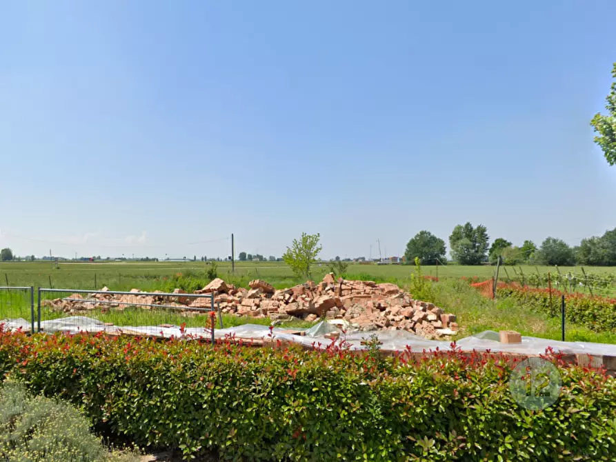 Immagine 4 di Terreno in vendita  a Camposanto