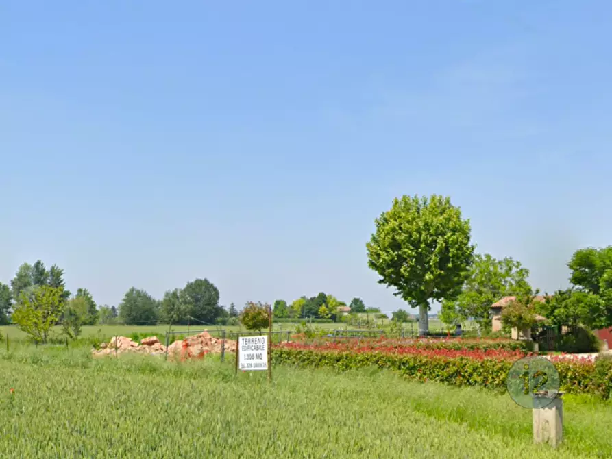Immagine 5 di Terreno in vendita  a Camposanto