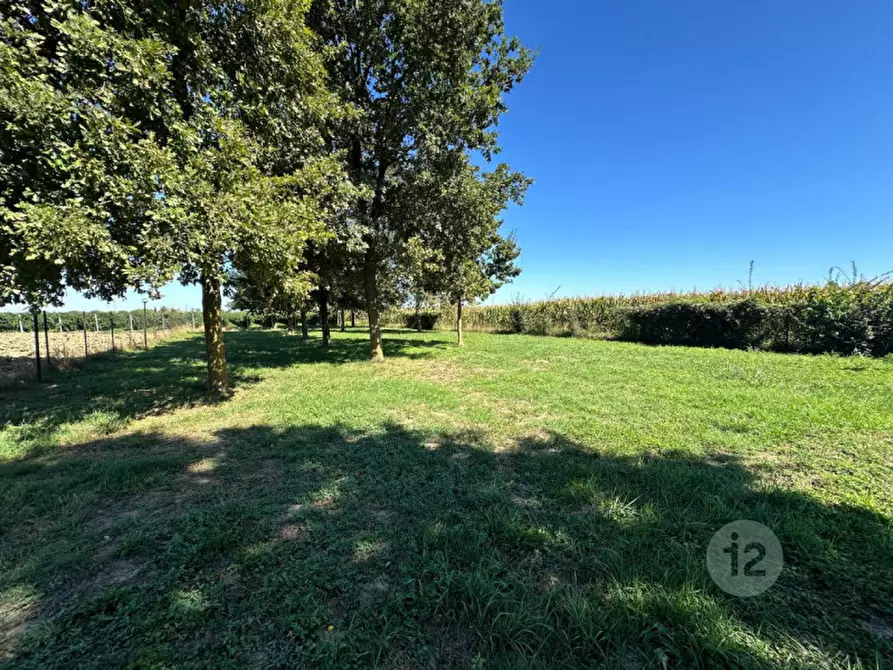 Immagine 12 di Casa indipendente in vendita  in Via Borghetto a Mirandola