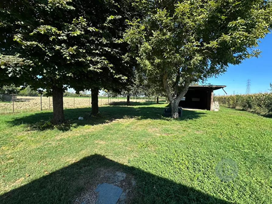Immagine 15 di Casa indipendente in vendita  in Via Borghetto a Mirandola