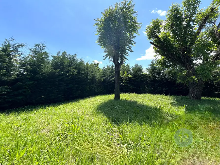 Immagine 7 di Casa indipendente in vendita  a Mirandola