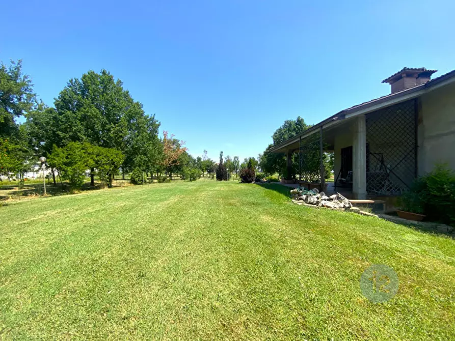 Immagine 3 di Villa in vendita  in strada provinciale,5 a San Possidonio