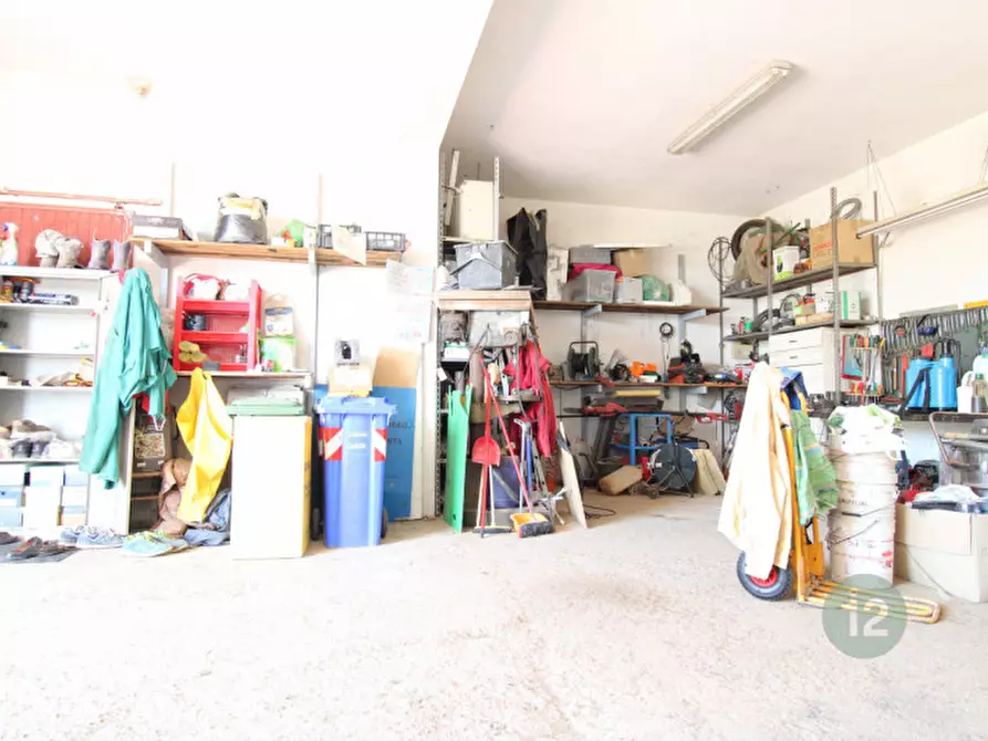 Immagine 31 di Villa in vendita  in strada provinciale,5 a San Possidonio