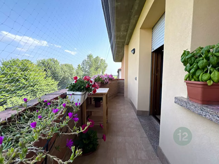 Immagine 4 di Appartamento in vendita  in Via Sabbioni a Mirandola