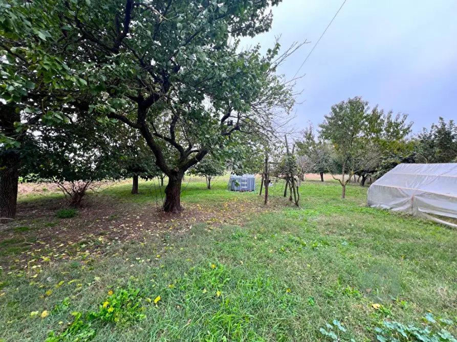 Immagine 20 di Casa indipendente in vendita  in Via San Martino Carano a Mirandola