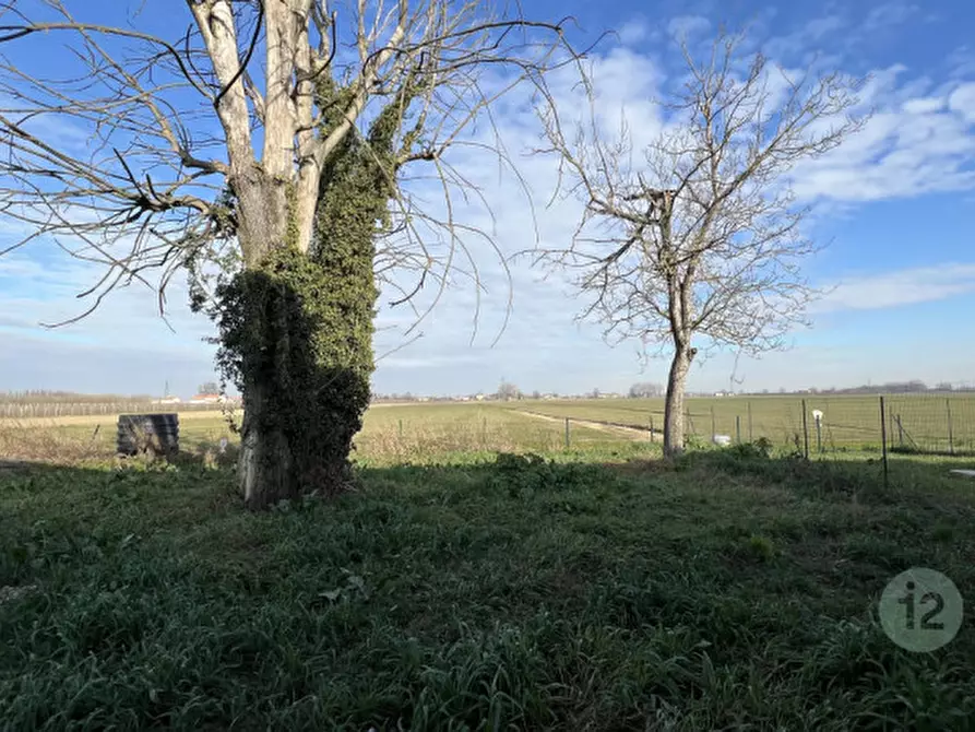 Immagine 30 di Villetta a schiera in vendita  in VIA LOLLIA a San Felice Sul Panaro