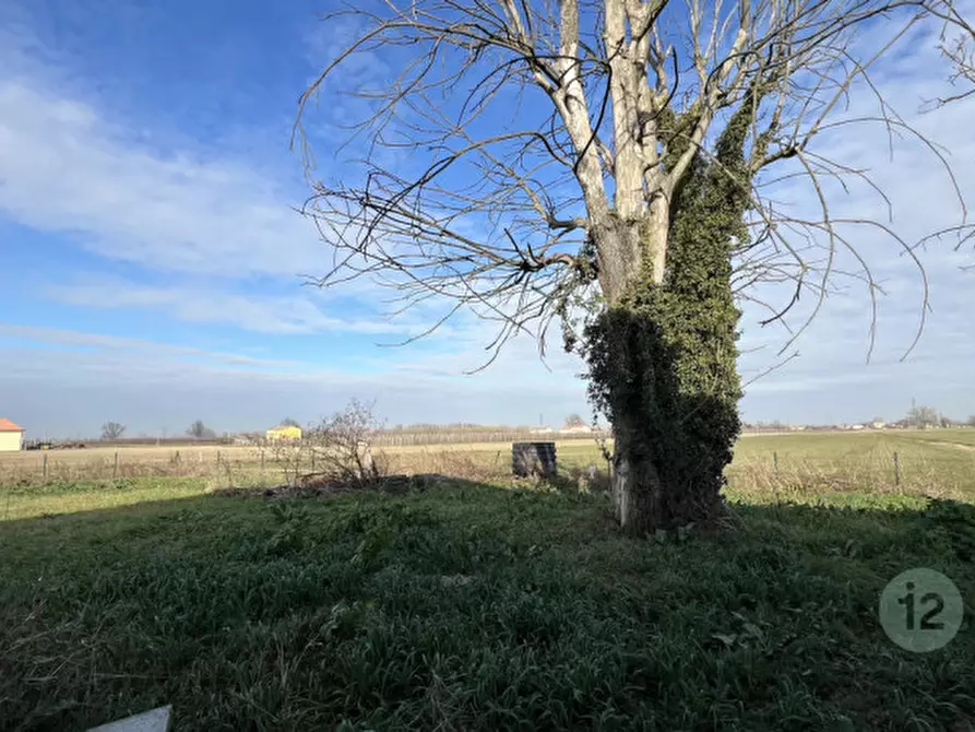 Immagine 34 di Villetta a schiera in vendita  in VIA LOLLIA a San Felice Sul Panaro