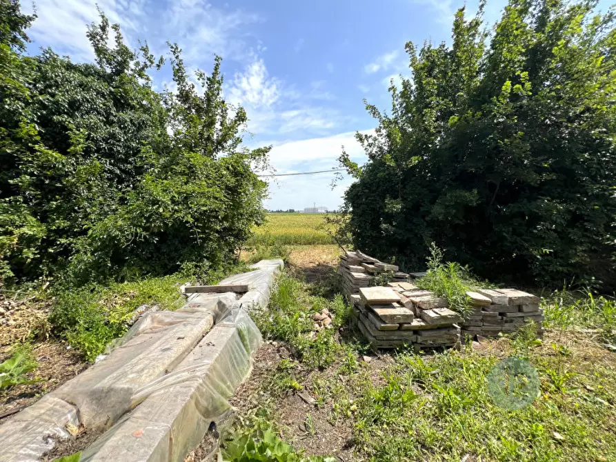Immagine 6 di Villa in vendita  in Via Ernesto Papazzoni a Cavezzo
