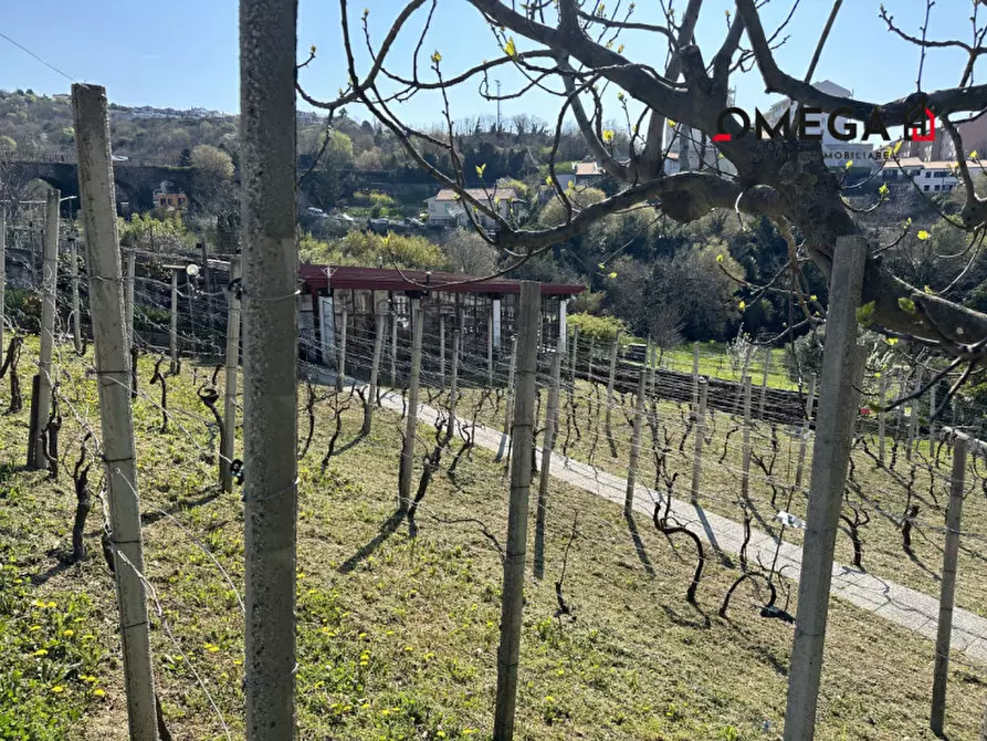 Immagine 13 di Terreno in vendita  in via Zarotti a Trieste