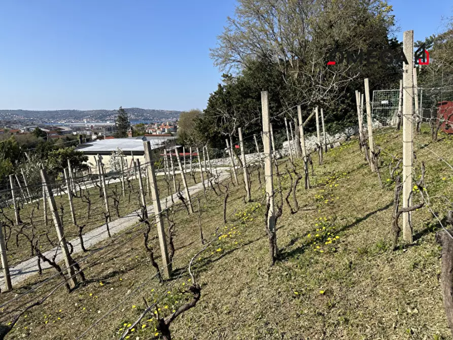 Immagine 14 di Terreno in vendita  in via Zarotti a Trieste