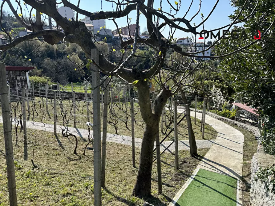 Immagine 15 di Terreno in vendita  in via Zarotti a Trieste