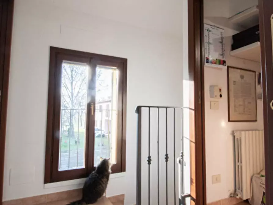 Immagine 9 di Casa bifamiliare in vendita  in Via Valle a Carpi